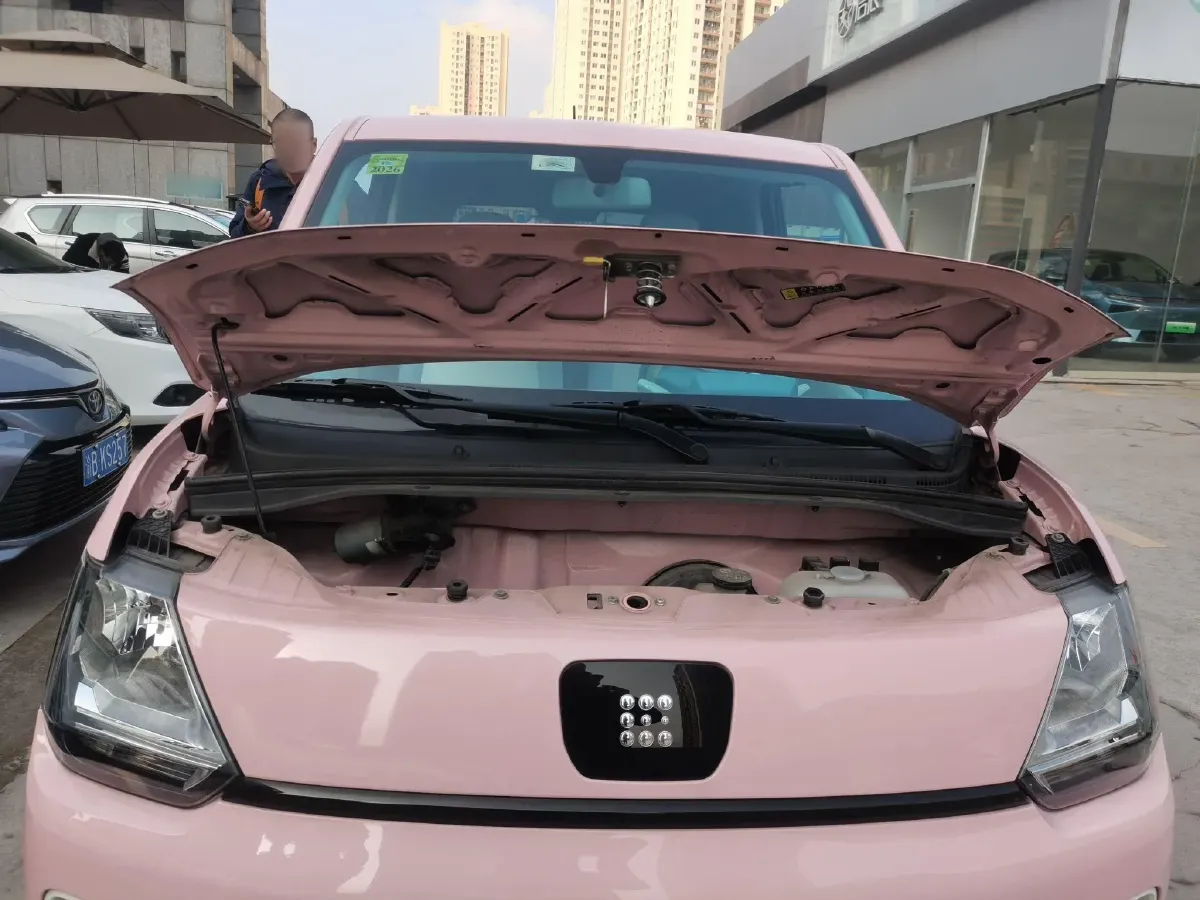 2022 DongFeng Fengon Fengon MINI EV BEV 16.8KWH,autocango,china used car exporter,china ev exporter,chinese used car exporter,chinese used ev exporter