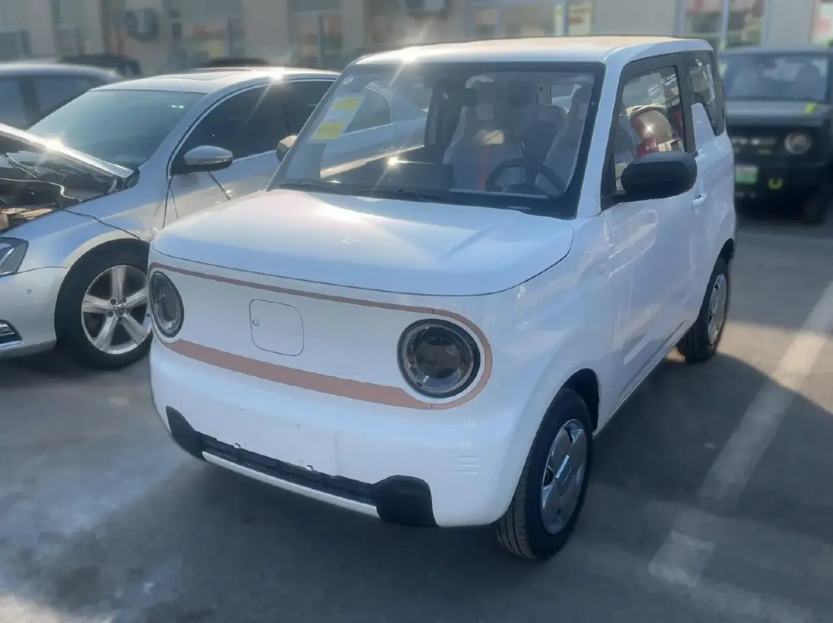 2024 Geely Panda BEV 17.03KWH