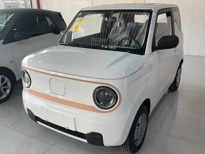 2024 Geely Panda BEV 17.03KWH