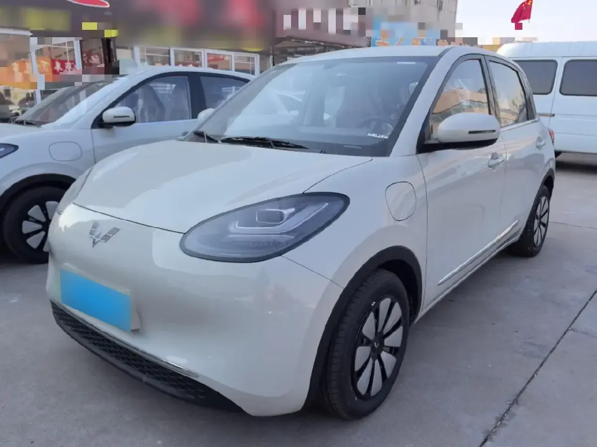 2024 WuLing BinGuo BEV 31.9KWH
