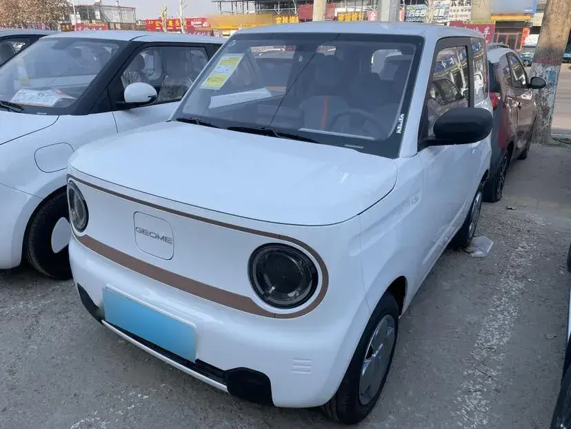2024 Geely Panda BEV 17.03KWH