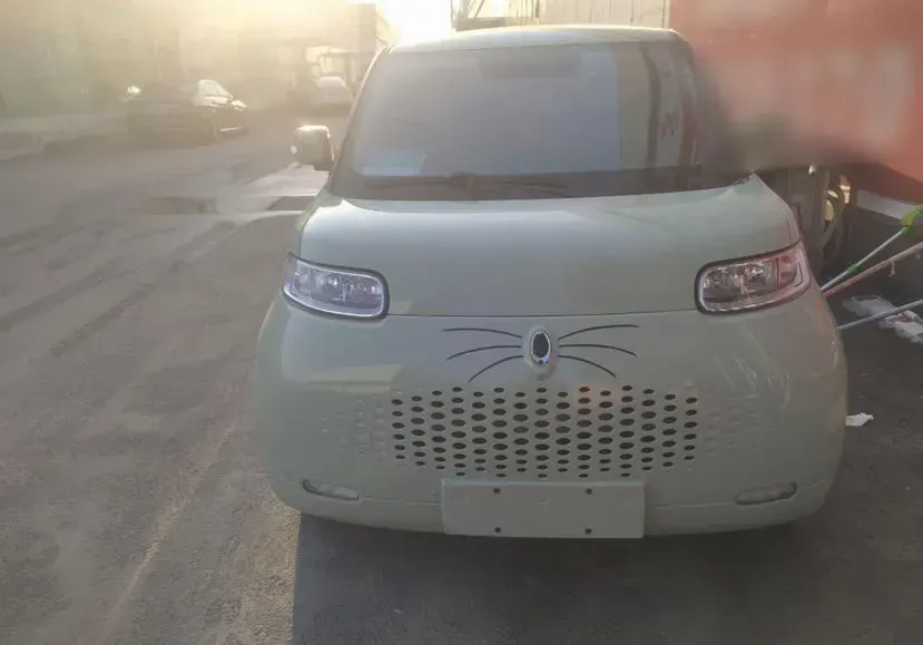 2022 Ora WhiteCat BEV 29.4KWH,autocango,china used car exporter,china ev exporter,chinese used car exporter,chinese used ev exporter