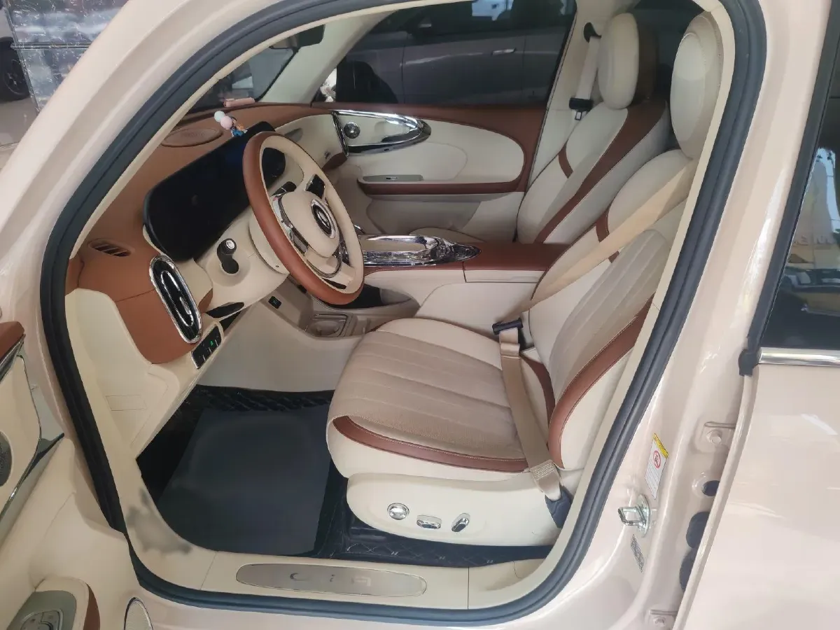 2022 Ora BalletCat BEV 49.92KWH,autocango,china used car exporter,china ev exporter,chinese used car exporter,chinese used ev exporter