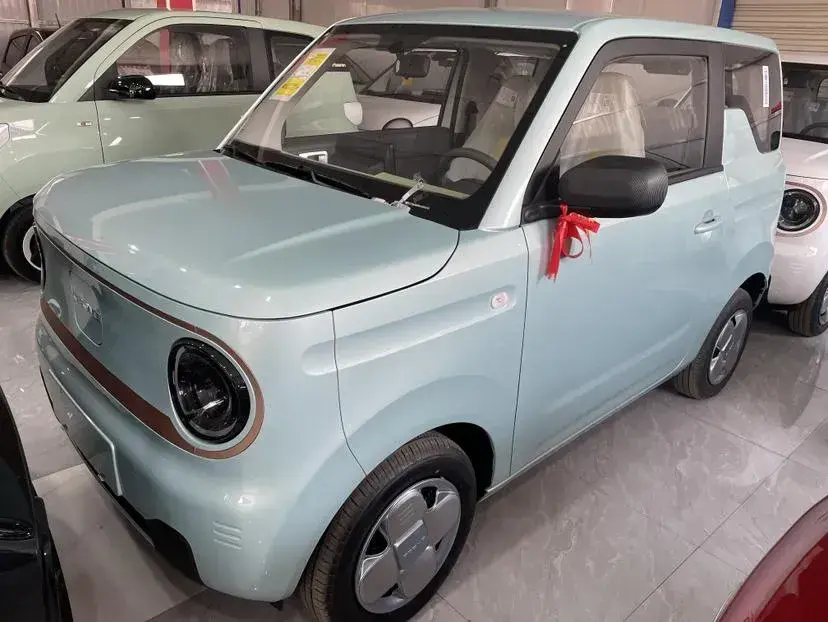 2024 Geely Panda BEV 17.03KWH