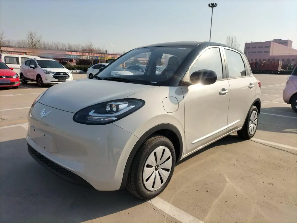 2024 WuLing BinGuo BEV 17.3KWH