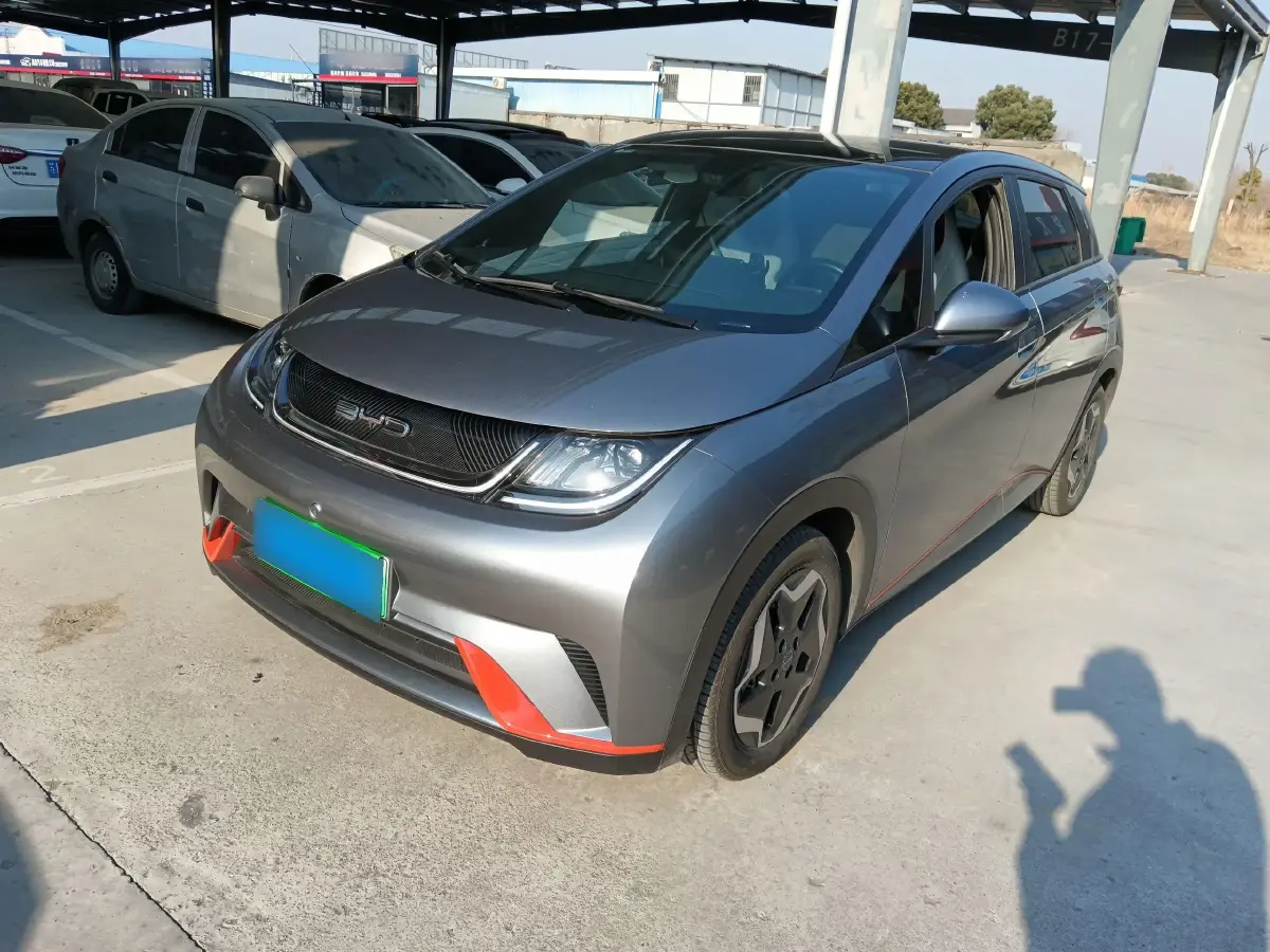 2021 BYD Dolphin BEV 44.9KWH