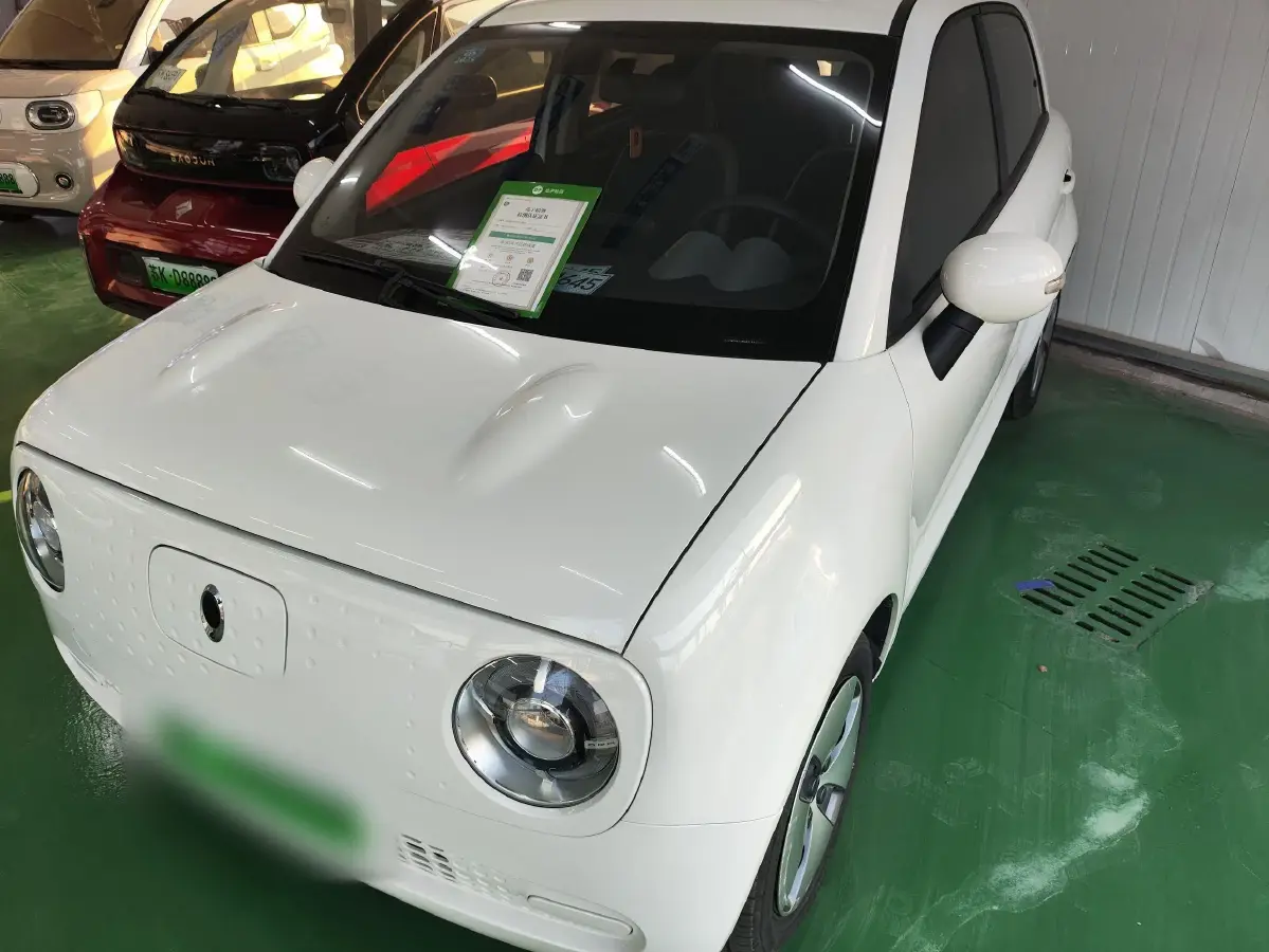 2021 Ora BlackCat BEV 28.5KWH