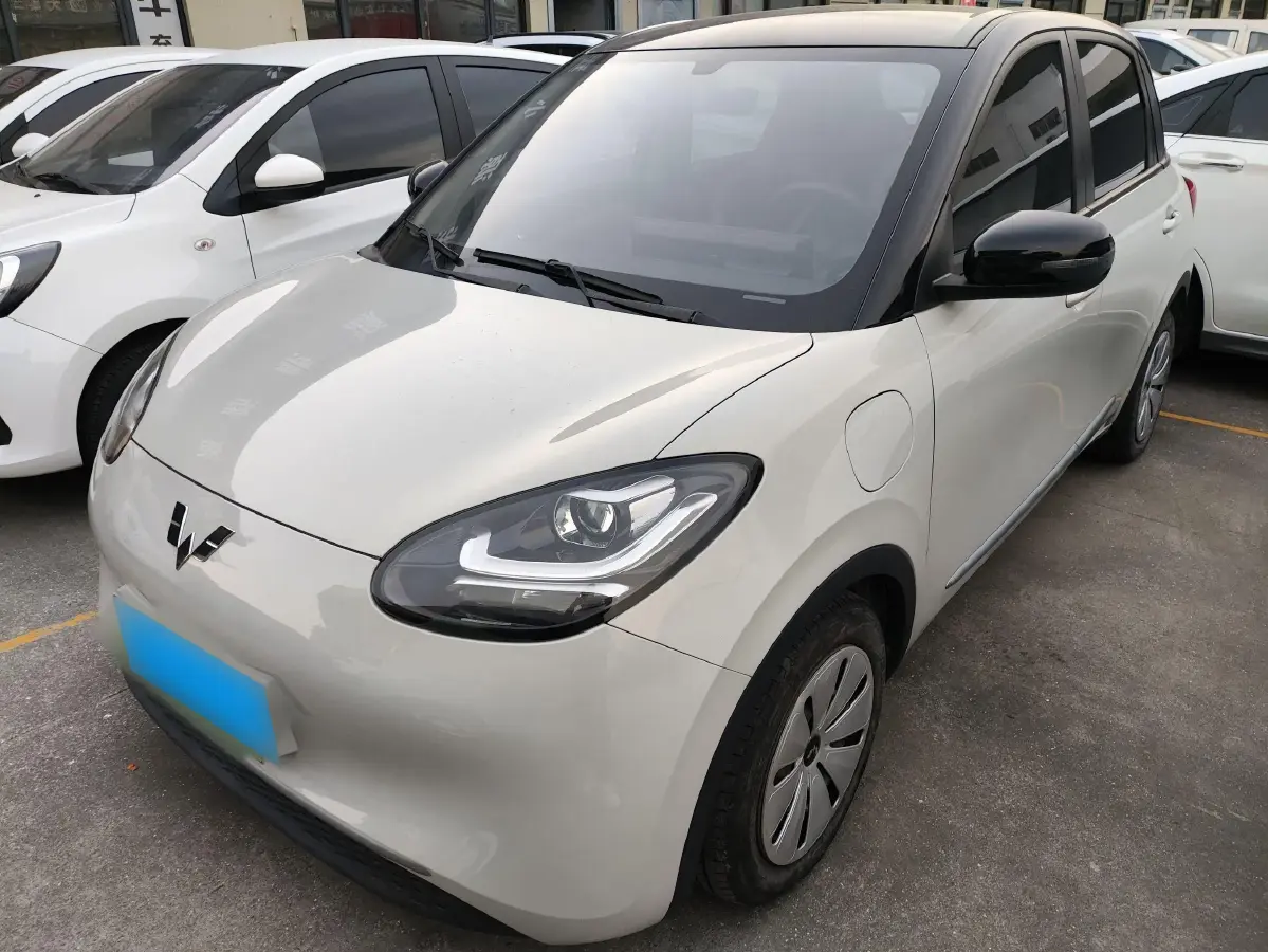 2023 WuLing BinGuo BEV 31.9KWH