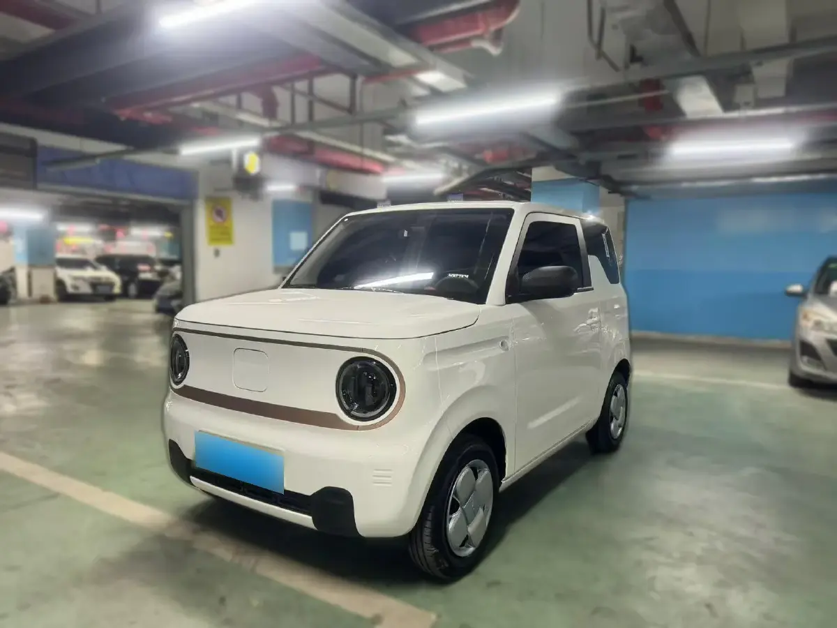 2024 Geely Panda BEV 17.03KWH