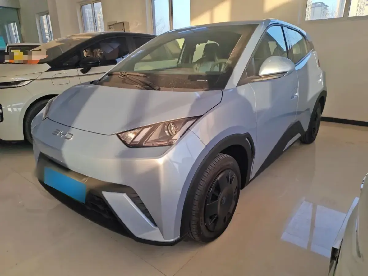 2025 BYD Seagull BEV 30.08KWH