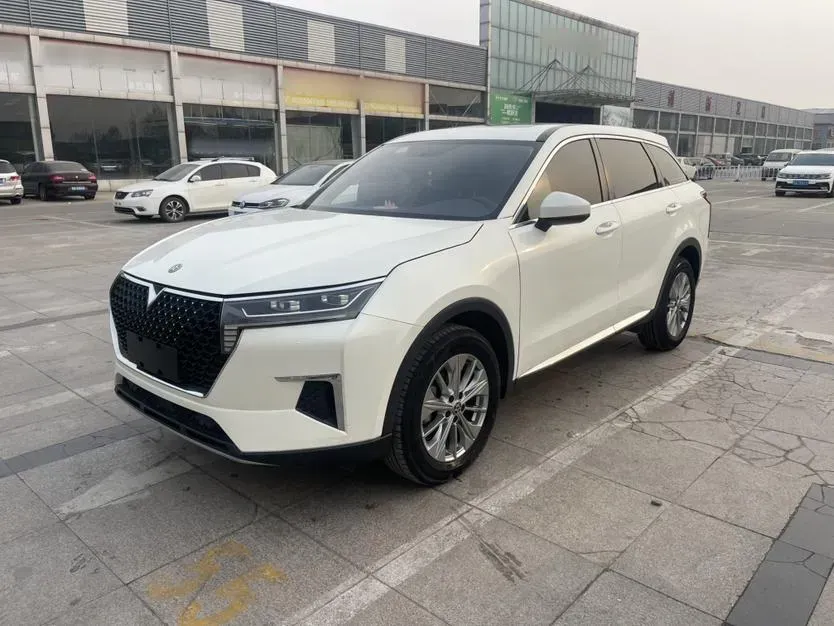 2020 Venucia Star 1.5T 190HP L4 7DCT,autocango,china used car exporter,china ev exporter,chinese used car exporter,chinese used ev exporter