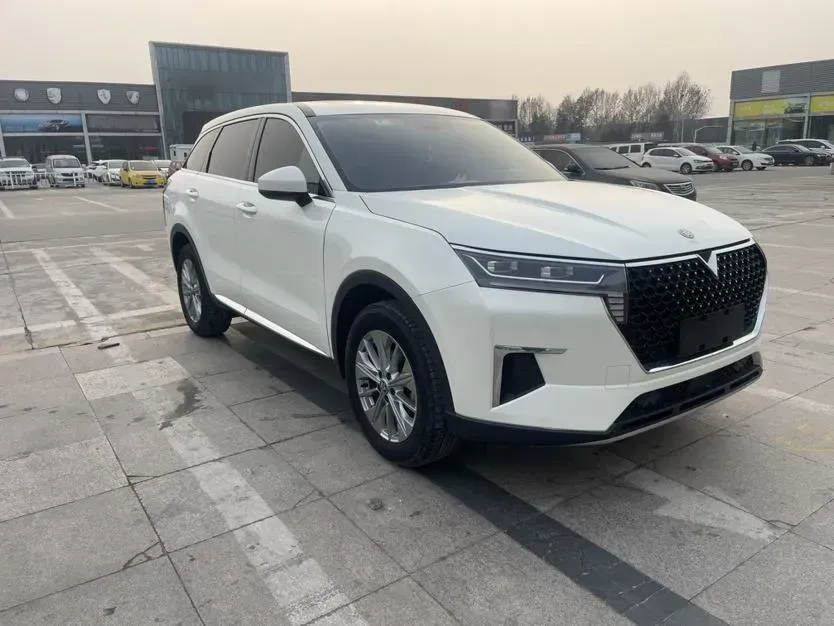 2020 Venucia Star 1.5T 190HP L4 7DCT,autocango,china used car exporter,china ev exporter,chinese used car exporter,chinese used ev exporter