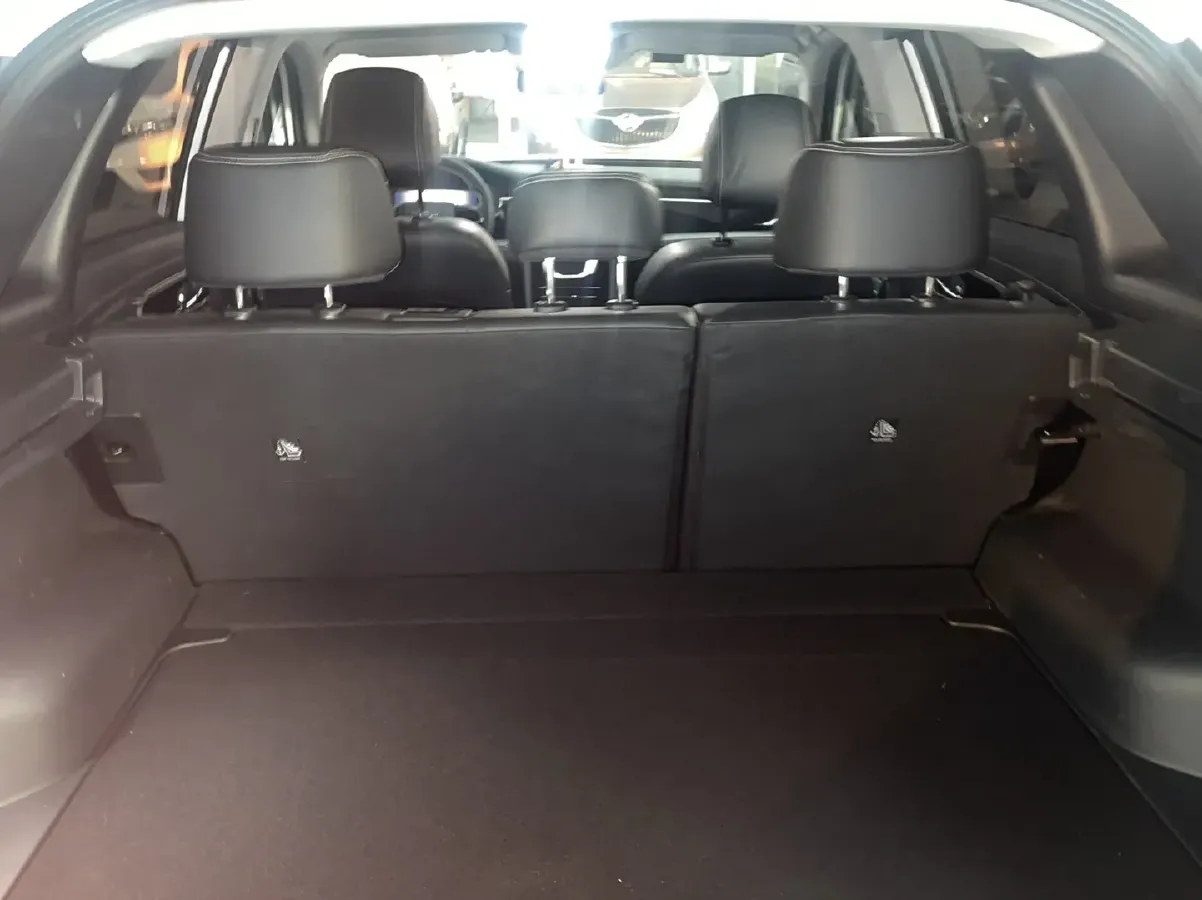 2020 Venucia Star 1.5T 190HP L4 7DCT,autocango,china used car exporter,china ev exporter,chinese used car exporter,chinese used ev exporter