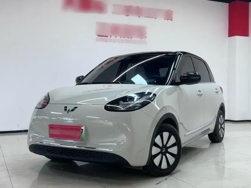2023 WuLing BinGuo BEV 17.3KWH