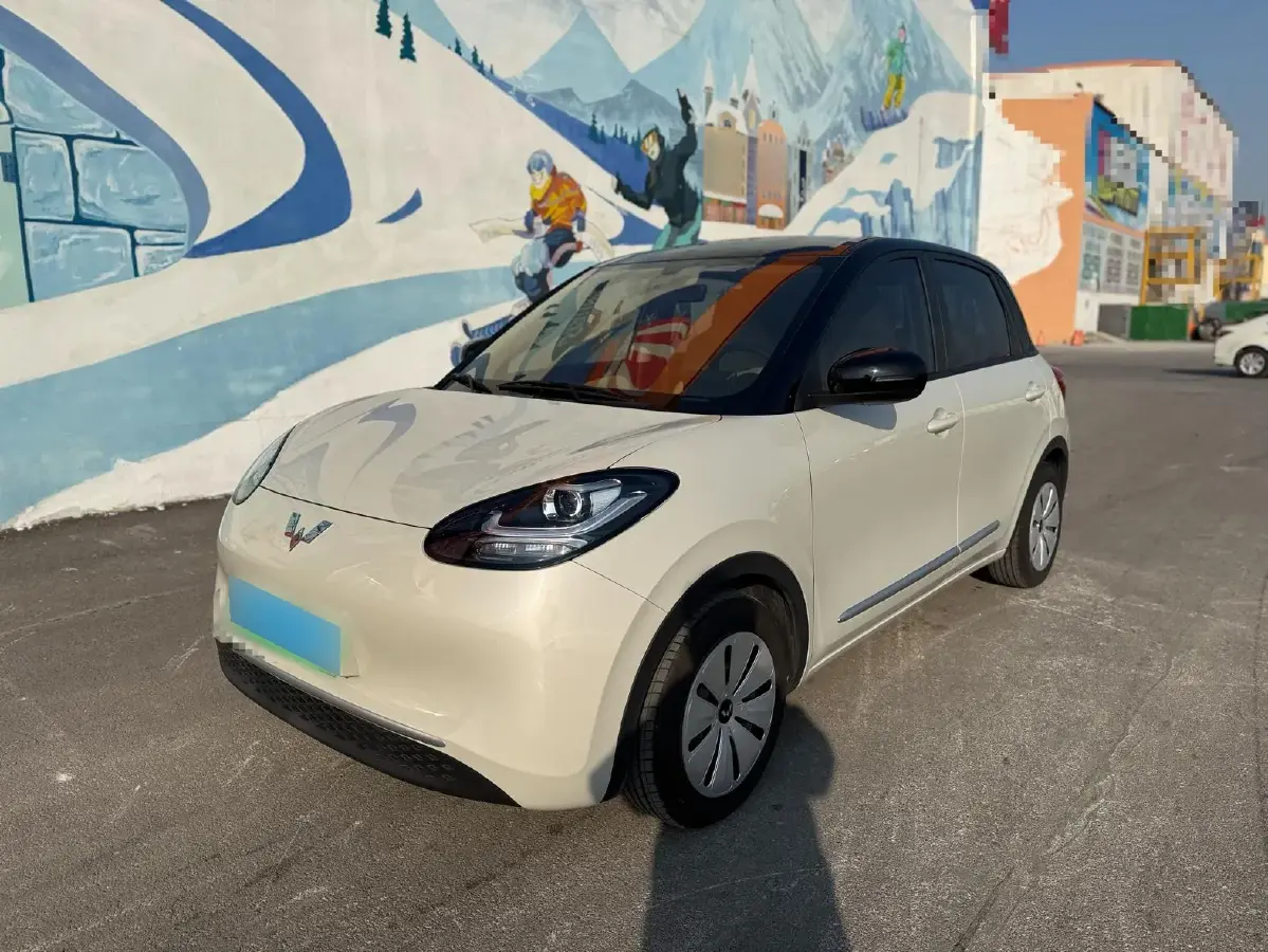 2023 WuLing BinGuo BEV 17.3KWH
