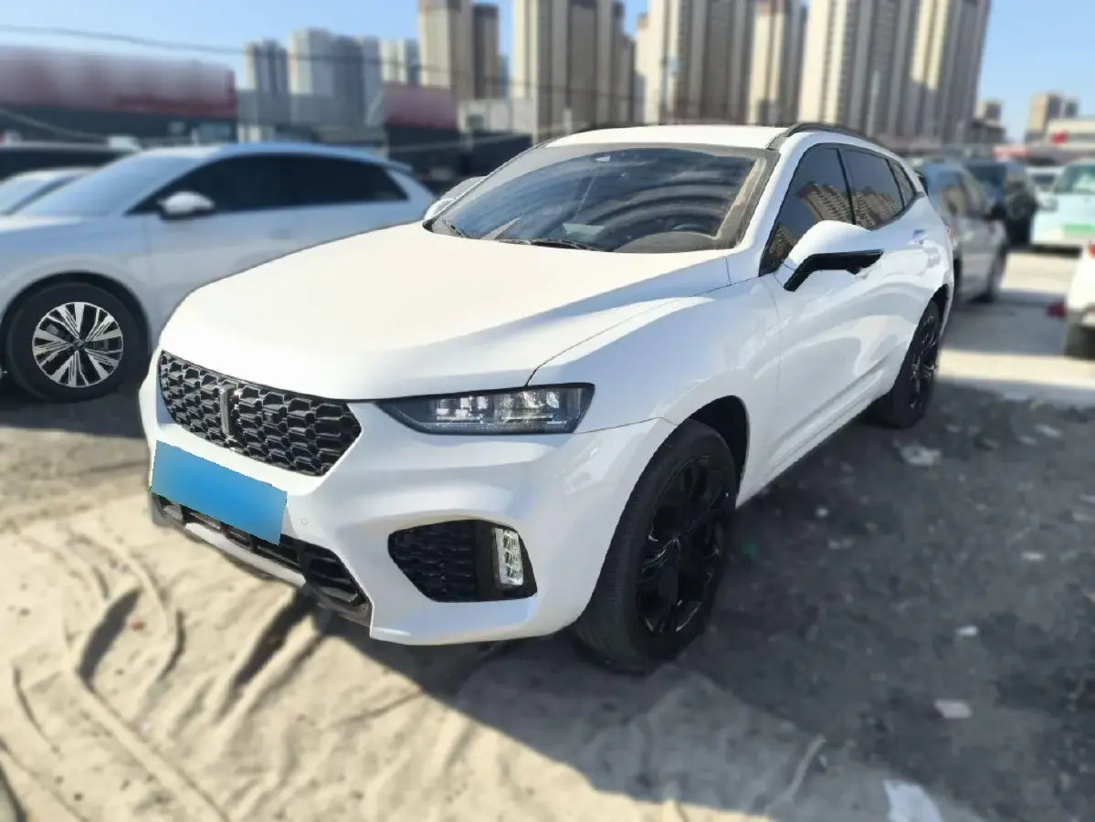 2019 WEY VV7 2.0T 234HP L4 7DCT