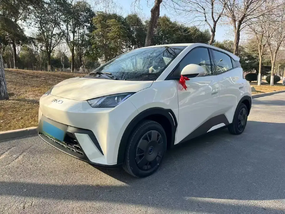 2025 BYD Seagull BEV 30.08KWH