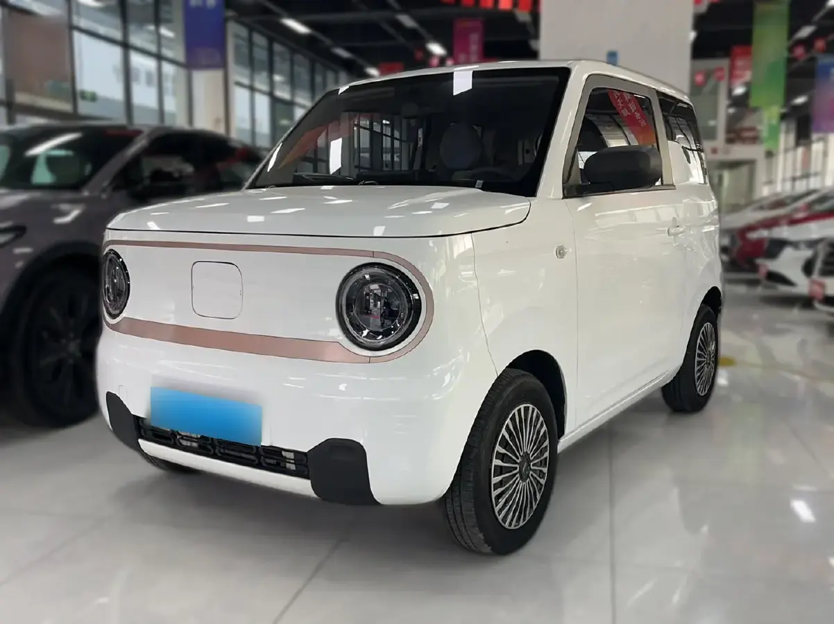 2023 Geely Panda BEV 17.03KWH