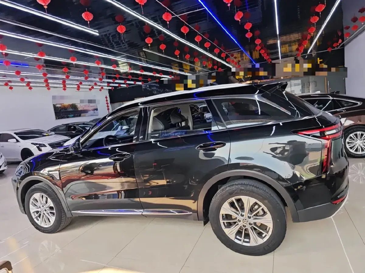 2020 Venucia Star 1.5T 190HP L4 7DCT,autocango,china used car exporter,china ev exporter,chinese used car exporter,chinese used ev exporter