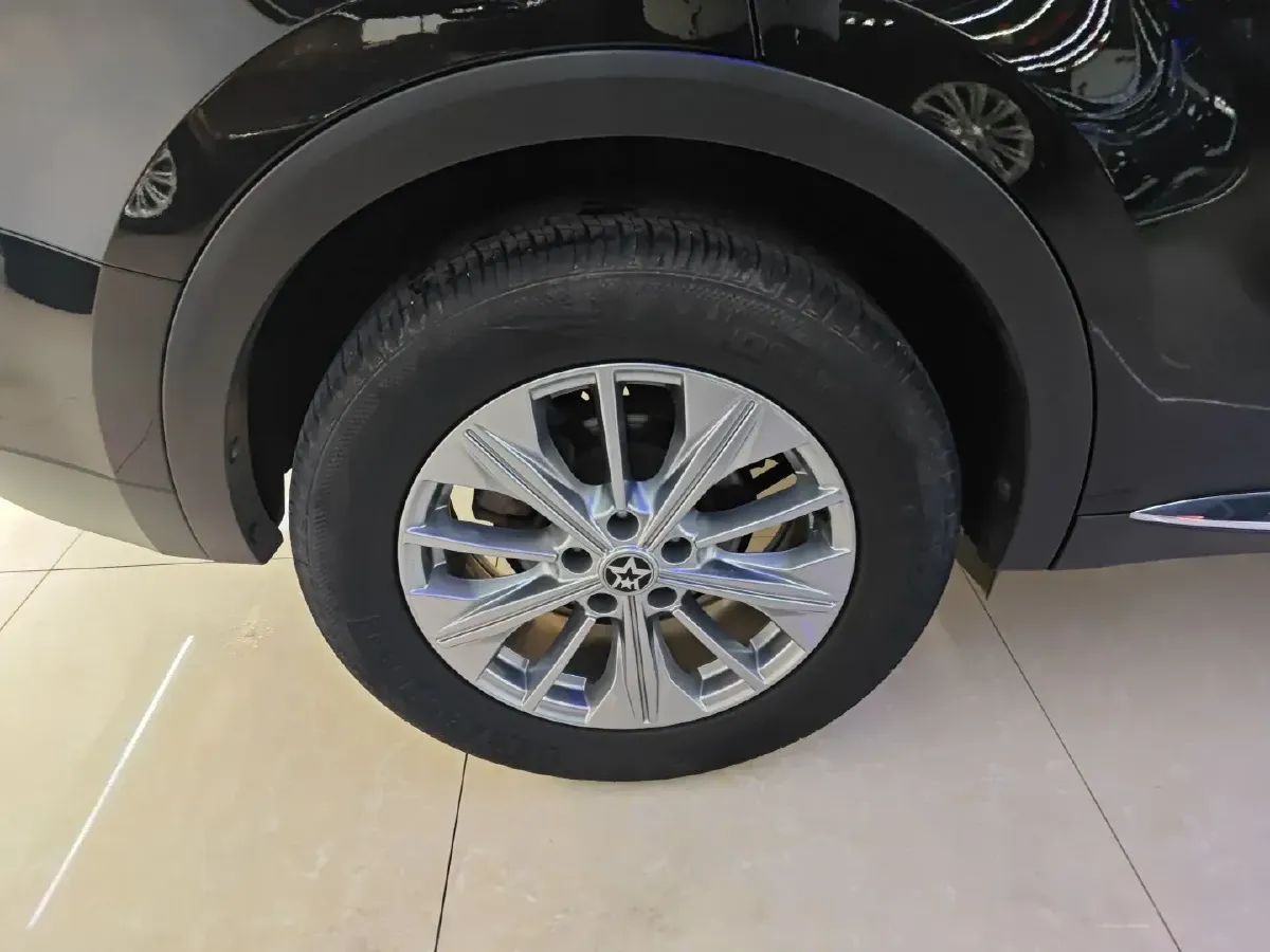 2020 Venucia Star 1.5T 190HP L4 7DCT,autocango,china used car exporter,china ev exporter,chinese used car exporter,chinese used ev exporter