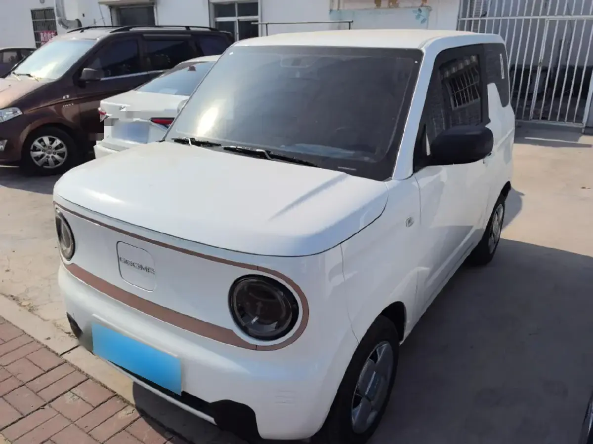 2024 Geely Panda BEV 17.03KWH
