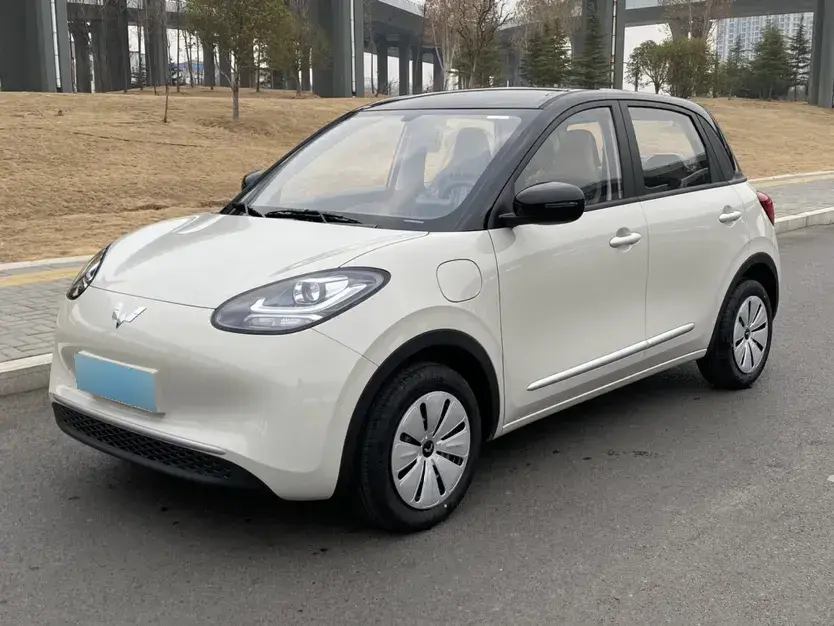 2024 WuLing BinGuo BEV 17.3KWH