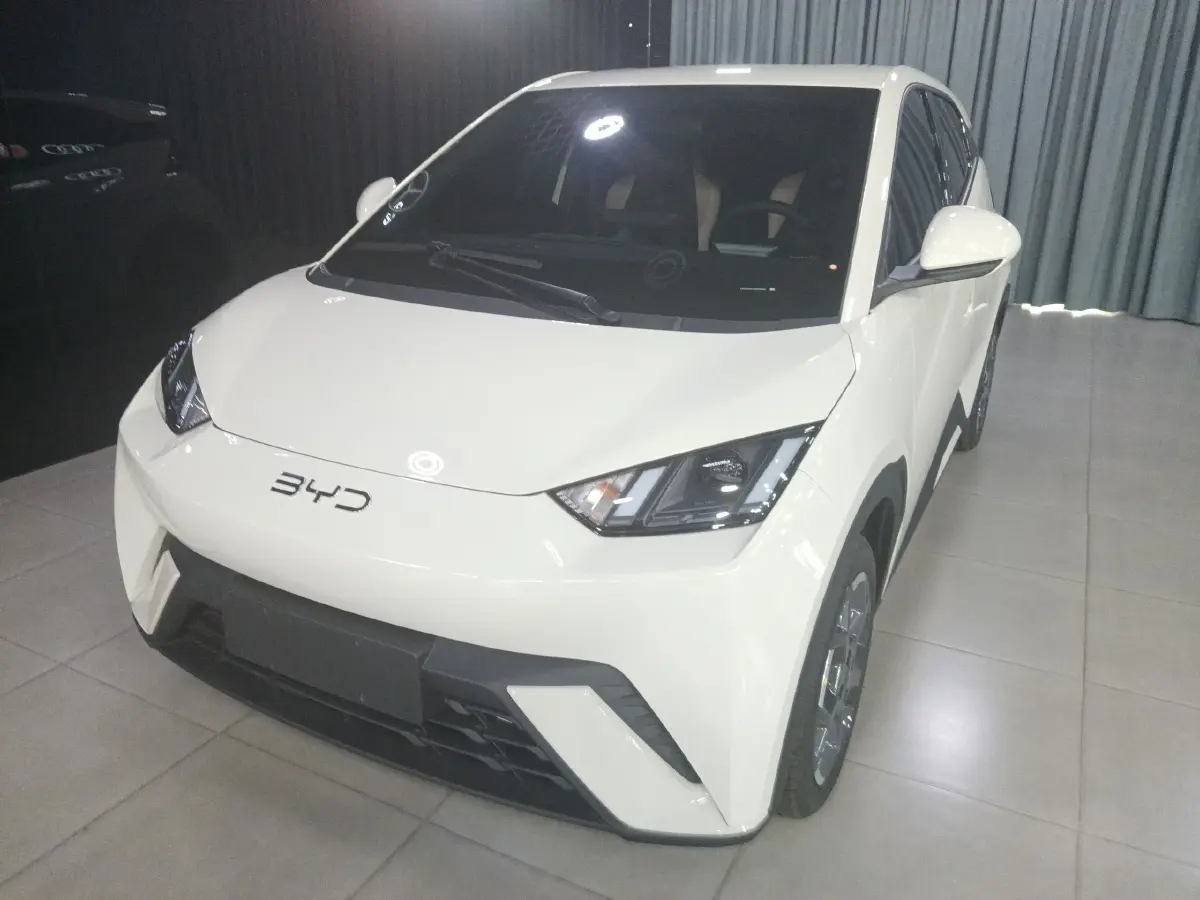 2025 BYD Seagull BEV 30.08KWH