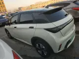 2023 BYD Dolphin BEV 44.928KWH,autocango,china used car exporter,china ev exporter,chinese used car exporter,chinese used ev exporter