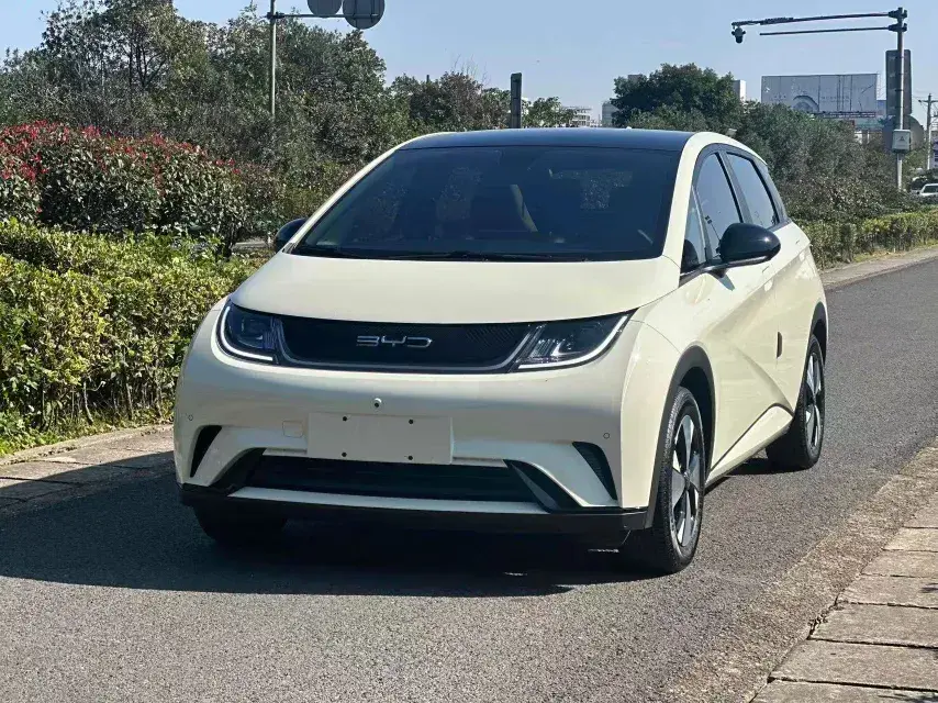 2023 BYD Dolphin BEV 44.928KWH
