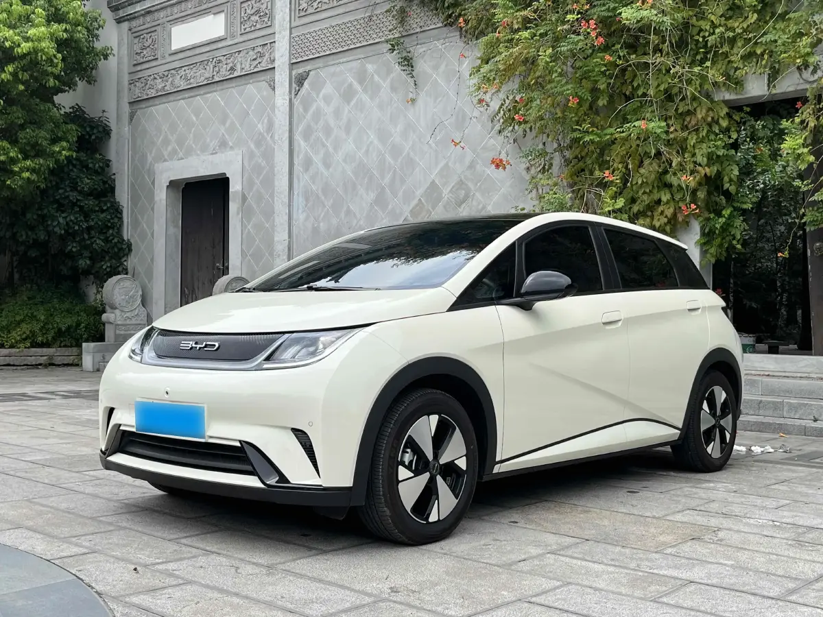 2023 BYD Dolphin BEV 44.928KWH