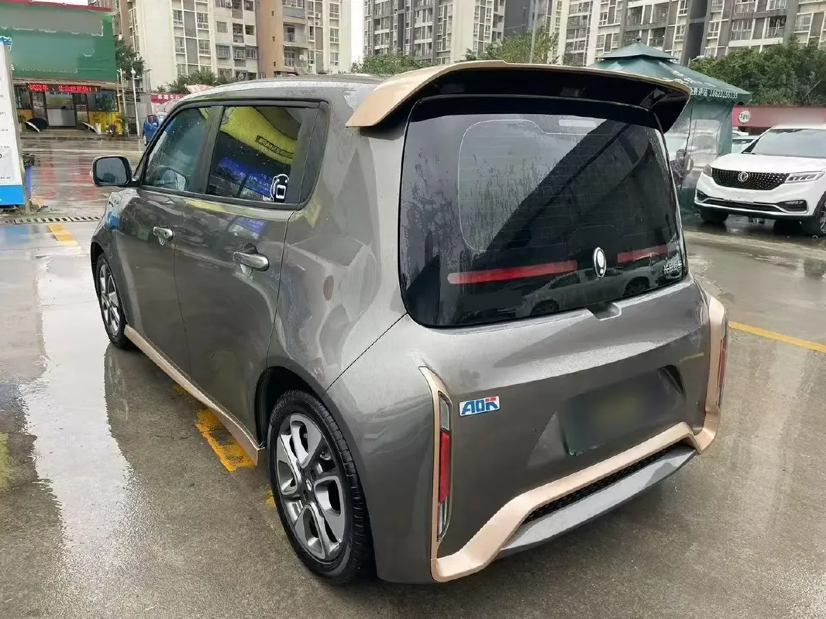 2022 Ora WhiteCat BEV 36KWH,autocango,china used car exporter,china ev exporter,chinese used car exporter,chinese used ev exporter