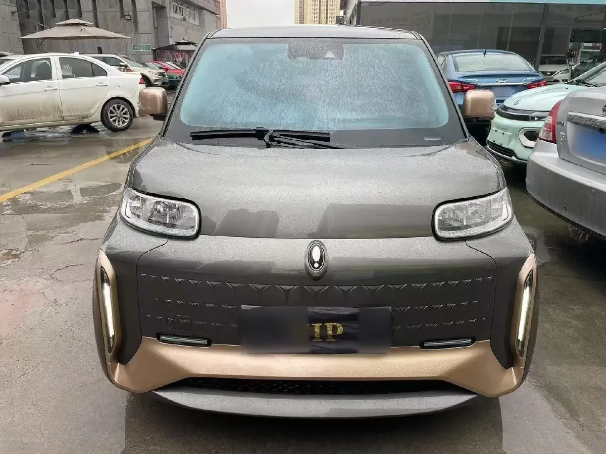 2022 Ora WhiteCat BEV 36KWH,autocango,china used car exporter,china ev exporter,chinese used car exporter,chinese used ev exporter