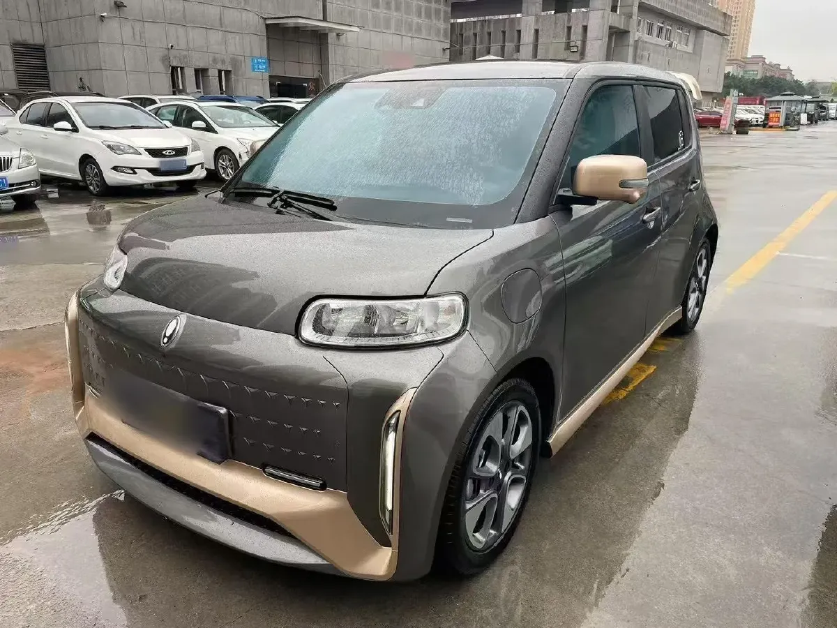 2022 Ora WhiteCat BEV 36KWH,autocango,china used car exporter,china ev exporter,chinese used car exporter,chinese used ev exporter