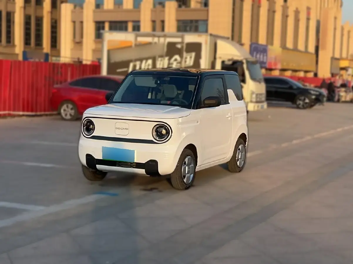 2024 Geely Panda BEV 17.03KWH