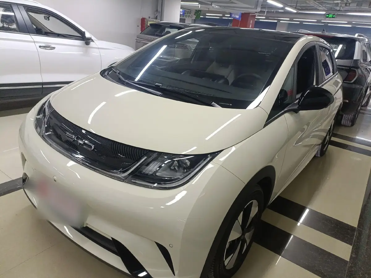 2023 BYD Dolphin BEV 44.928KWH