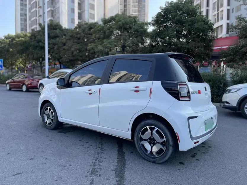 2021 Sehol HuaXianZi BEV 30.2KWH,autocango,china used car exporter,china ev exporter,chinese used car exporter,chinese used ev exporter