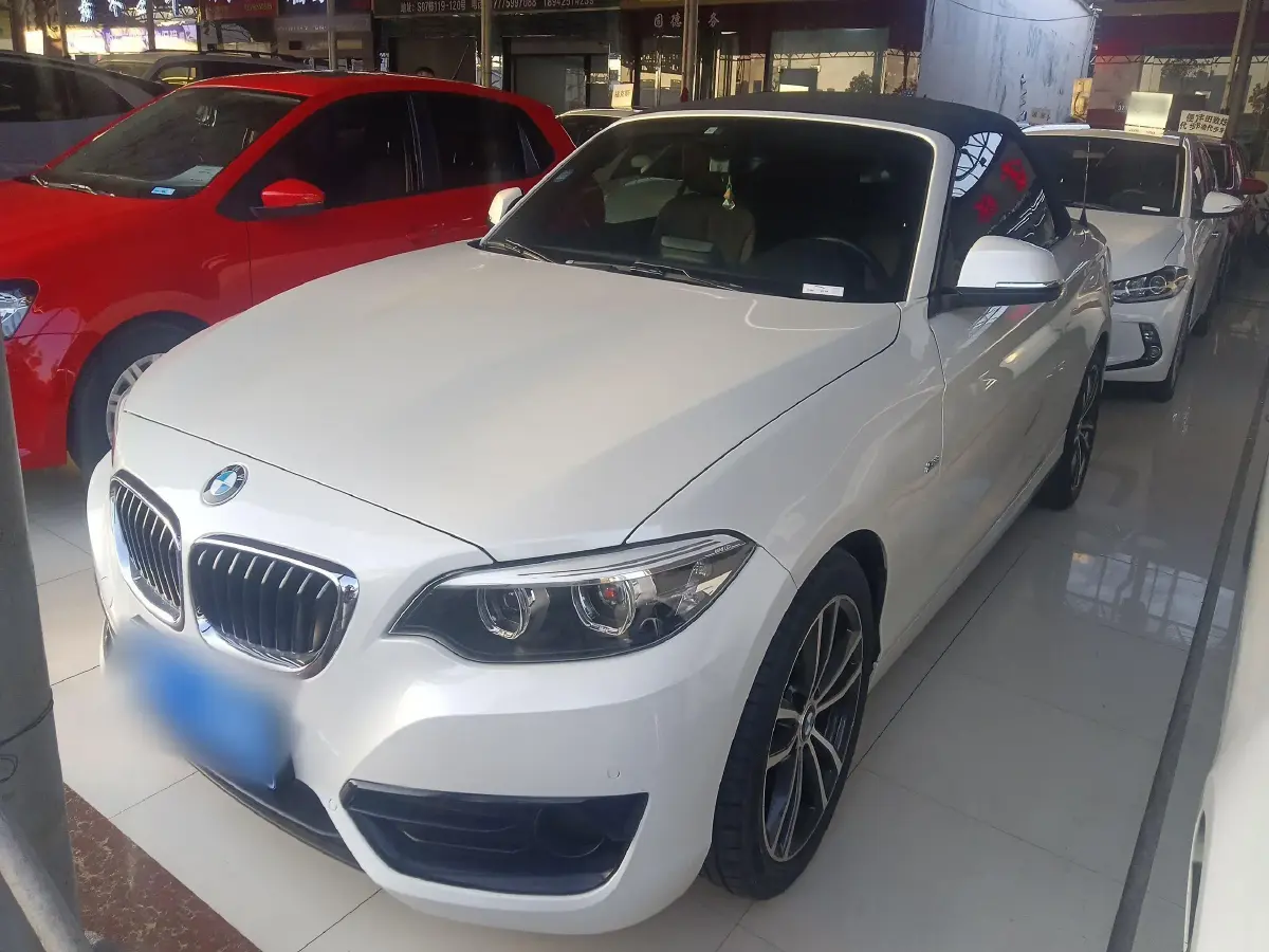 2018 BMW 2 Series 1.5T 136HP L3 8AT