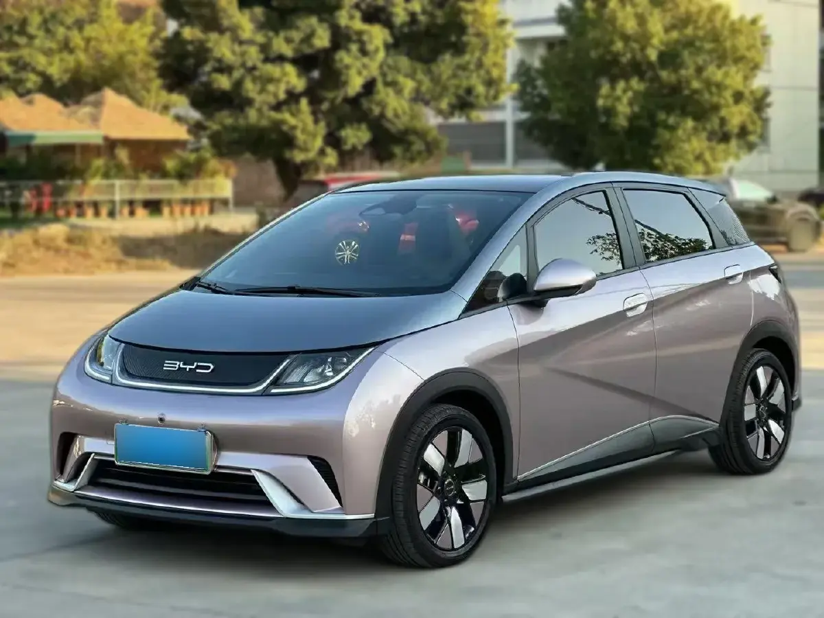 2021 BYD Dolphin BEV 44.9KWH