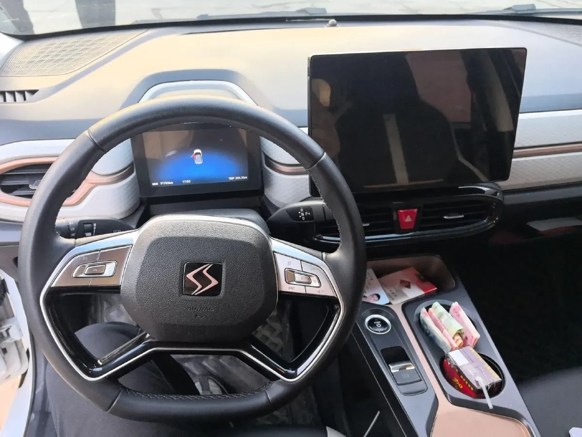 2022 Sehol HuaXianZi BEV 31.4KWH,autocango,china used car exporter,china ev exporter,chinese used car exporter,chinese used ev exporter