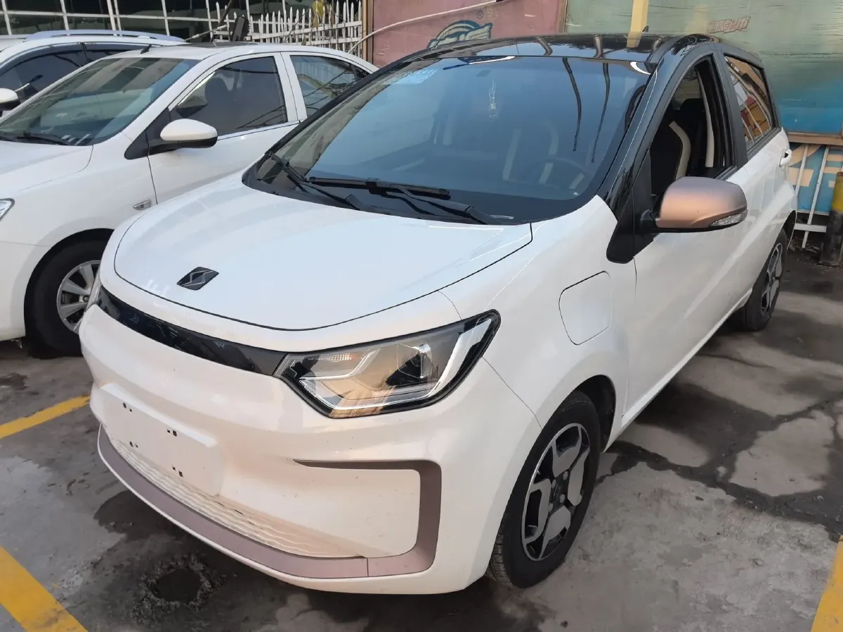 2022 Sehol HuaXianZi BEV 31.4KWH,autocango,china used car exporter,china ev exporter,chinese used car exporter,chinese used ev exporter