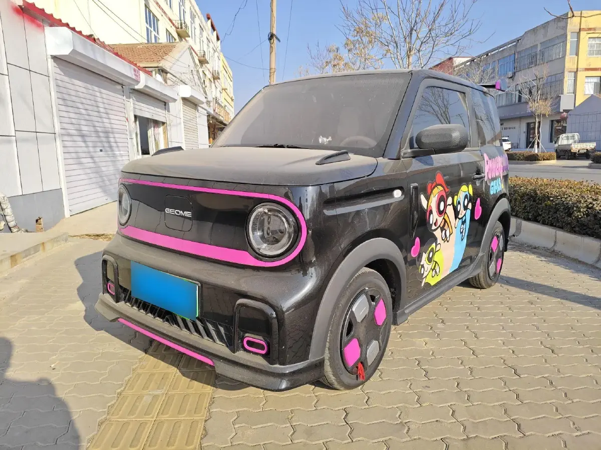 2024 Geely Panda BEV 17.03KWH