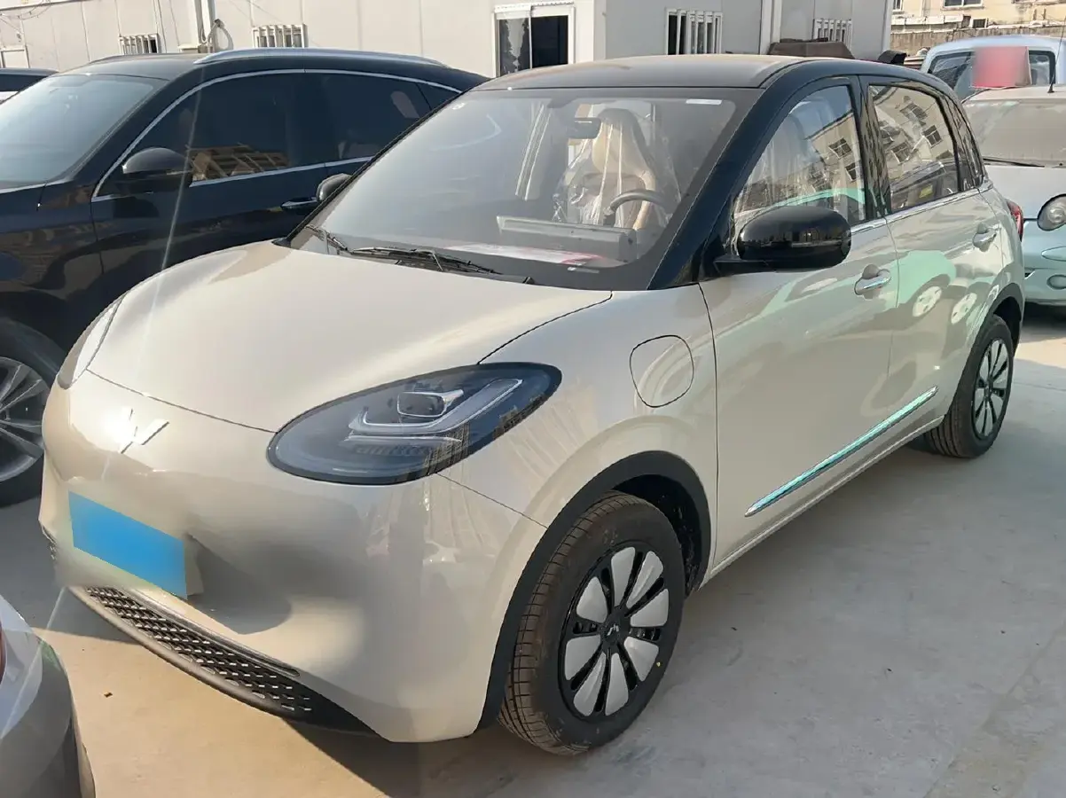 2024 WuLing BinGuo BEV 31.9KWH