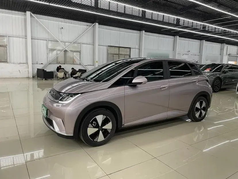 2023 BYD Dolphin BEV 44.928KWH
