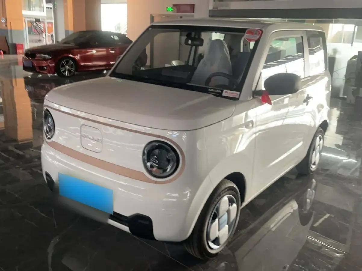 2024 Geely Panda BEV 17.03KWH