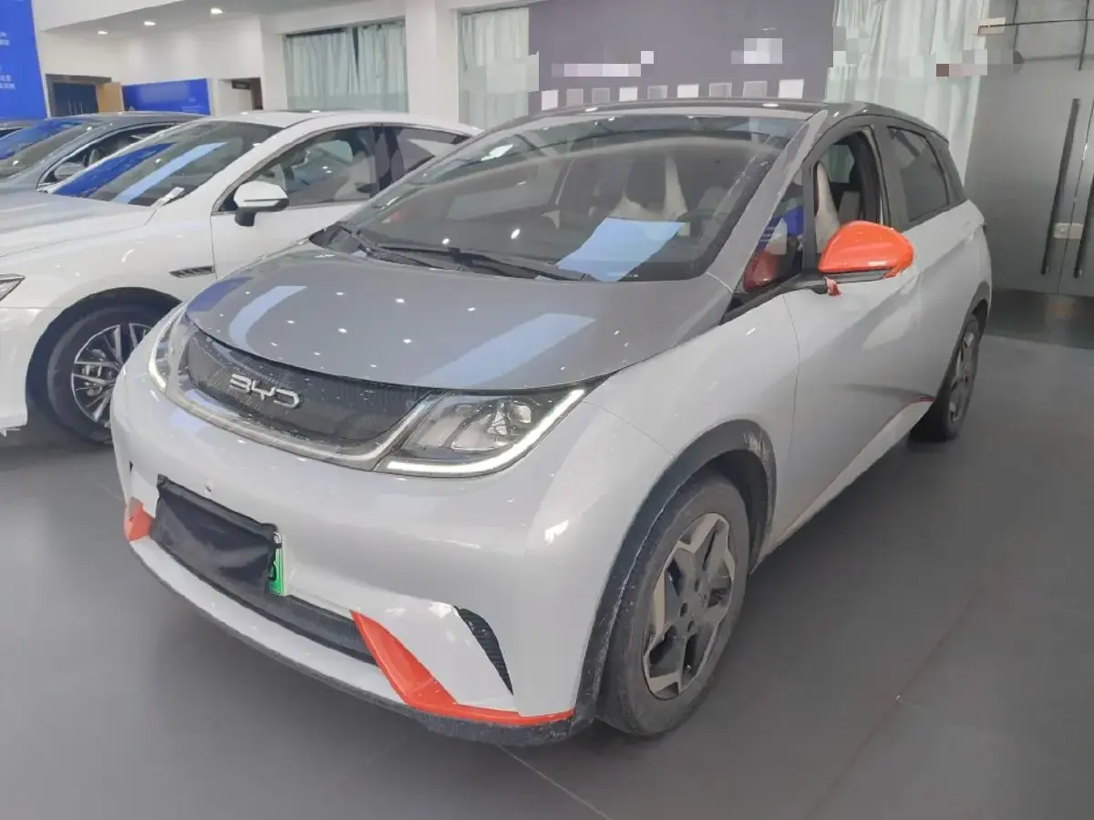 2021 BYD Dolphin BEV 44.9KWH