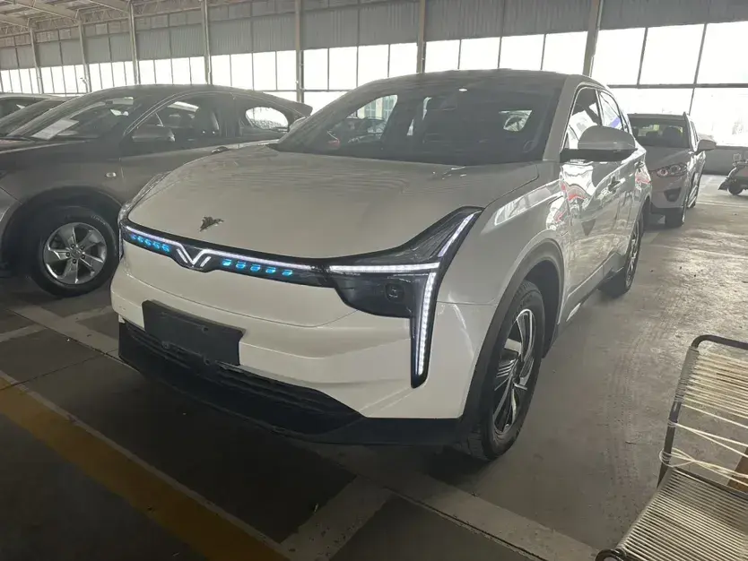 2021 Neta U BEV 54.34KWH