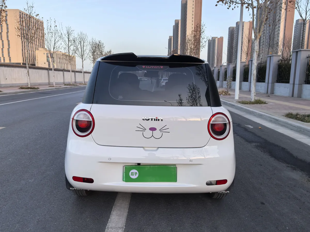 2023 ChangAn Lumin BEV 17.65KWH,autocango,china used car exporter,china ev exporter,chinese used car exporter,chinese used ev exporter