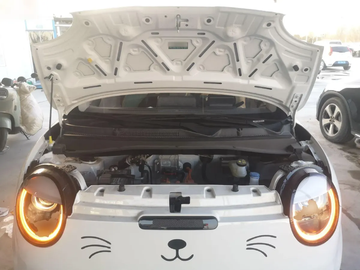 2023 ChangAn Lumin BEV 17.65KWH,autocango,china used car exporter,china ev exporter,chinese used car exporter,chinese used ev exporter