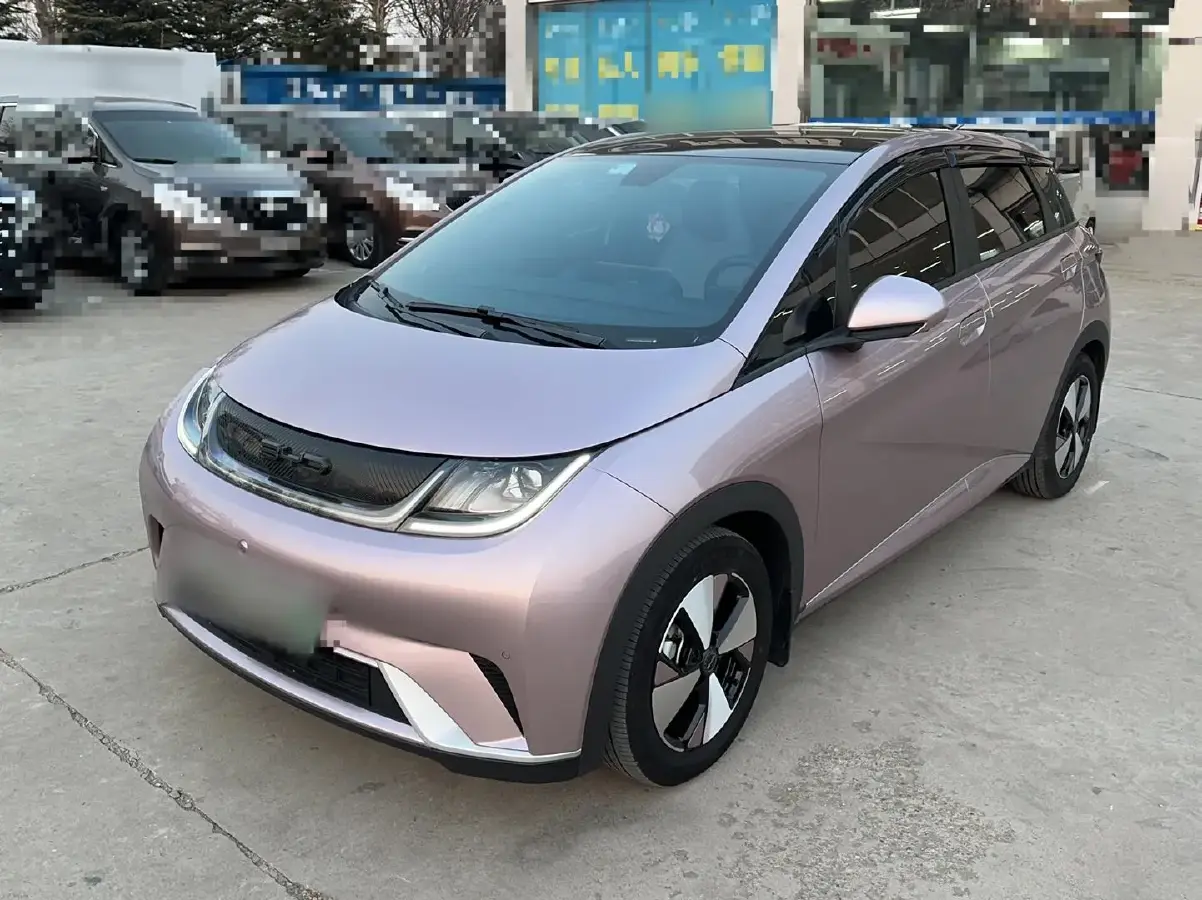 2023 BYD Dolphin BEV 44.928KWH