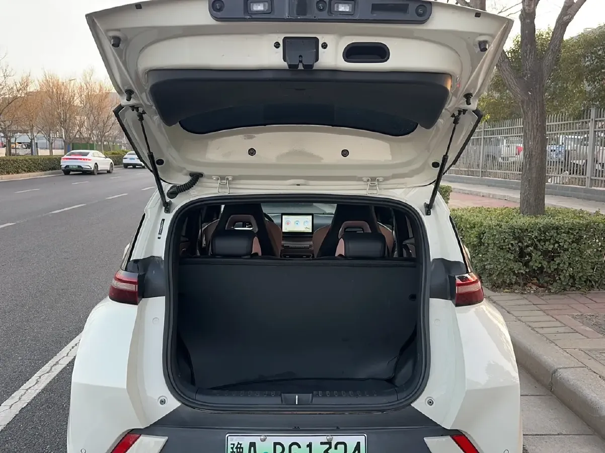 2025 BYD Seagull BEV 30.08KWH,autocango,china used car exporter,china ev exporter,chinese used car exporter,chinese used ev exporter